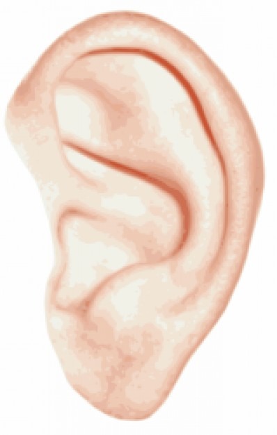 oreille-santecool