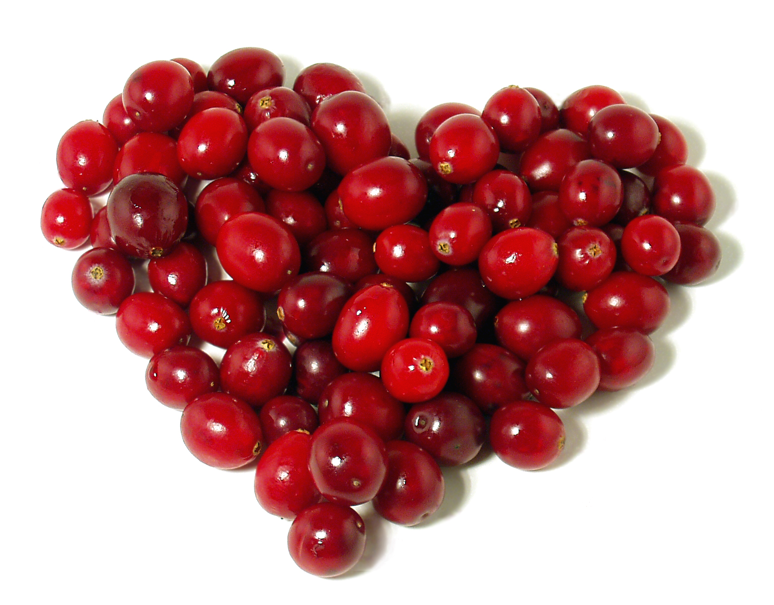 cranberry-santeccol