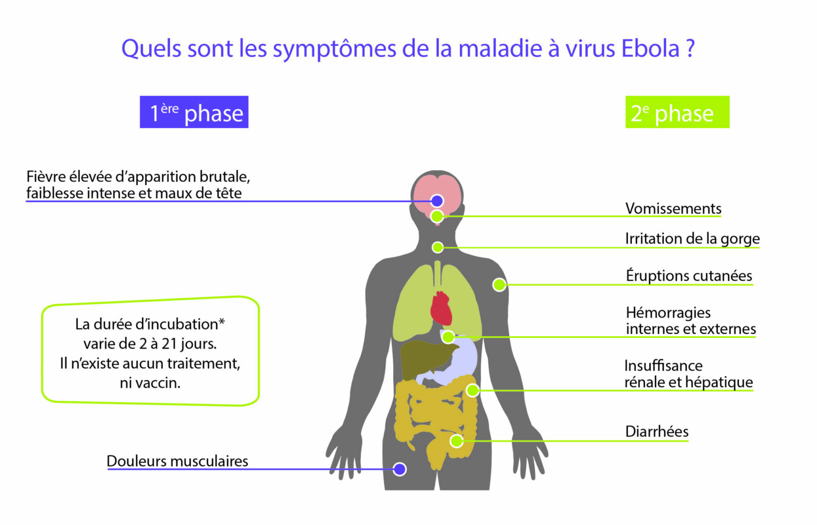 tout-savoir-sur-ebola-santecool