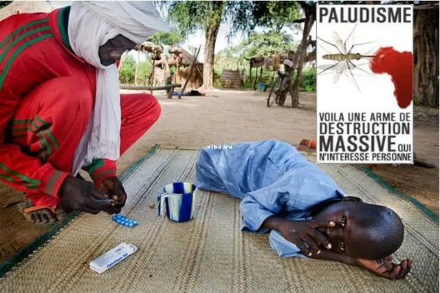 Où-en-est-la-recherche-contre-le-paludisme-santecool