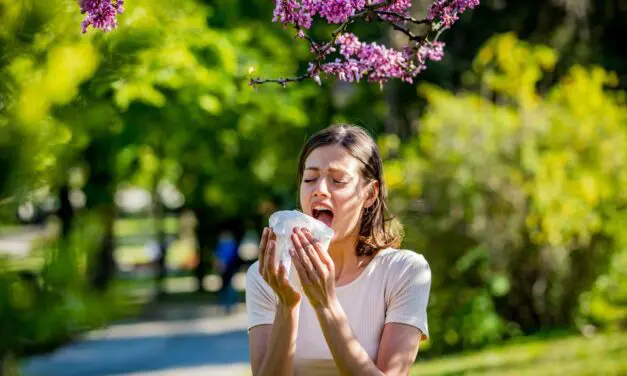 Tout sur la conjonctivite allergique saisonnière