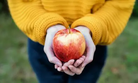 Une pomme par jour : une efficacité prouvée pour lutter contre le cholestérol