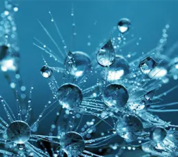 la-bioelectronique-de-vincent-pour-boire-nos-maladies