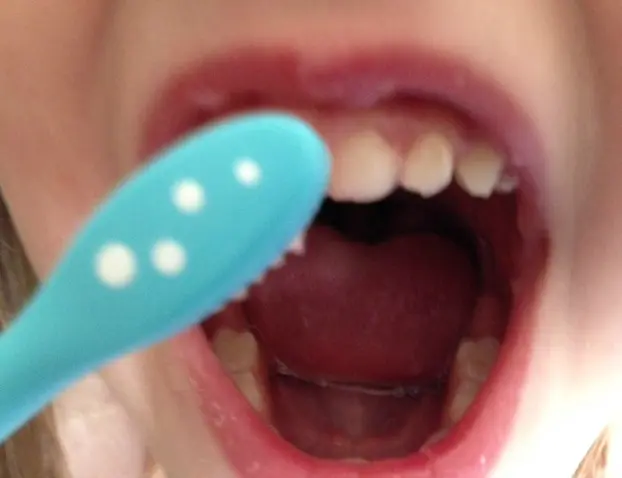 Comment apprendre à son enfant à se brosser les dents