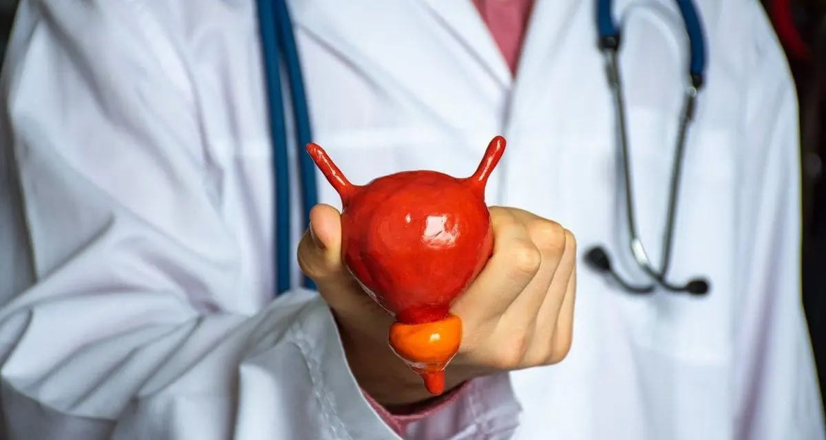 Cancer de la vessie un cancer trop souvent oublié
