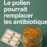 Pollen et antibiotiques : un allié naturel contre l’antibiorésistance