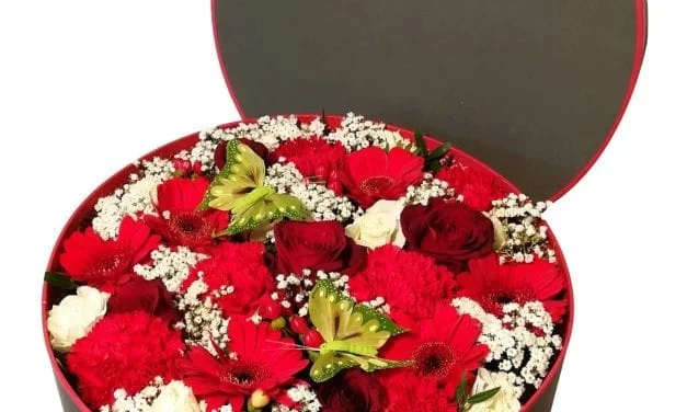 3 superbes boites florales à gagner