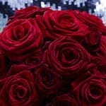 Quelles fleurs offrir pour la Saint-Valentin ?