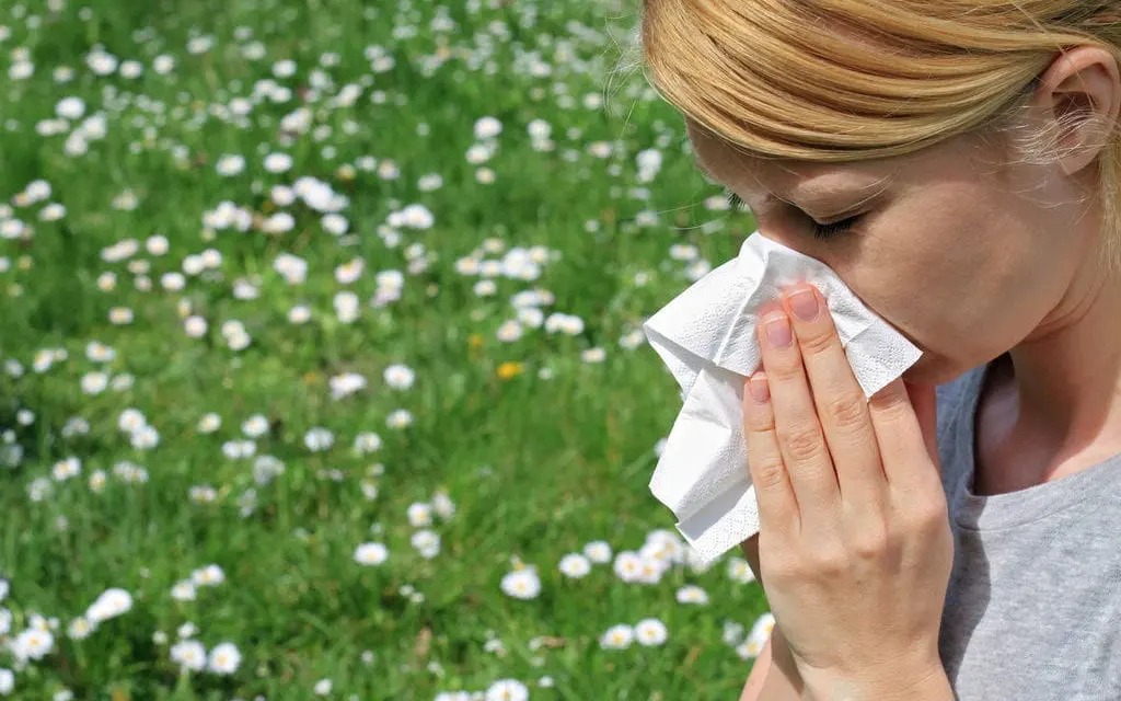 Allergie au pollen, que faire?