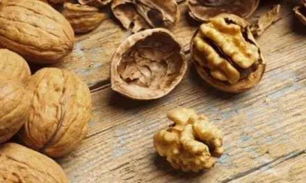 Les noix, des alliées pour la santé