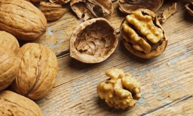 Les noix, des alliées pour la santé