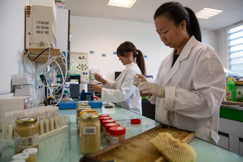 L’Université de Corse, une « ruche » scientifique pour le miel de Corse