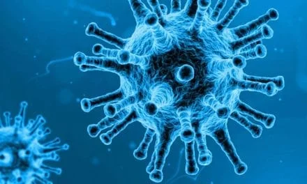 Virus dans l’alimentation : un nouveau mandat national de référence pour le Laboratoire de sécurité des aliments de l’Anses