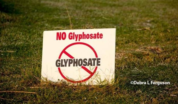 Glyphosate : 30 organisations lancent une pétition pour son interdiction