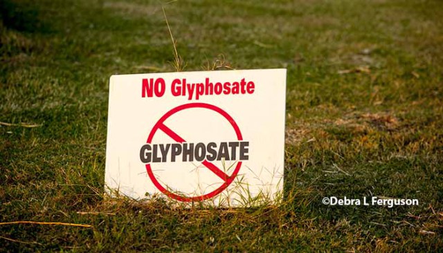 Glyphosate : 30 organisations lancent une pétition pour son interdiction