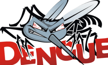 Dengue : sur la piste des anticorps pour identifier les individus à risque