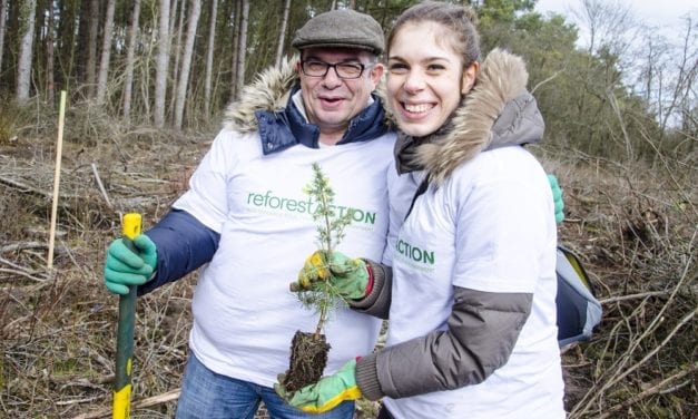 Reforest’Action : premier calculateur carbone qui plante des arbres près de chez soi