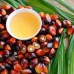 L’huile de palme rouge, une huile 100% bio et responsable