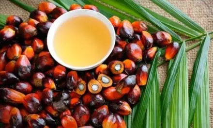 L’huile de palme rouge, une huile 100% bio et responsable