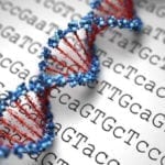 Tests génétiques: peut-on tout prédire?