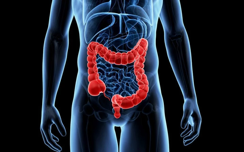 Cancer colorectal, la génétique au service de la prévention et du dépistage précoce