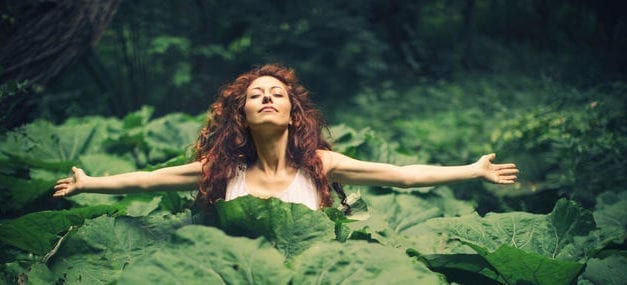 Pourquoi la Nature nous soigne et nous rend plus heureux