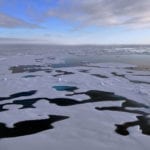 L’océan Arctique, berceau de la biodiversité virale