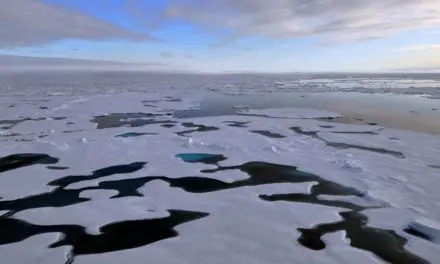 L’océan Arctique, berceau de la biodiversité virale