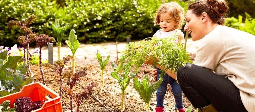 Vous ne souhaitez plus utiliser de pesticides? Vous cherchez des alternatives pour jardiner bio? Voici notre sélection d'ouvrages et cette année vous pourrez dire : nous jardinons écolo!