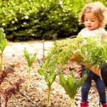 Jardinons écolo !