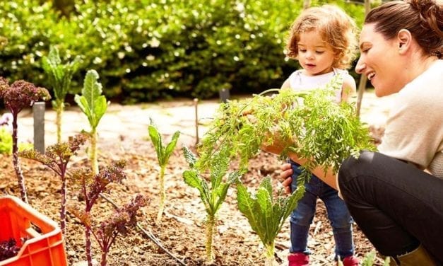 Jardinons écolo !
