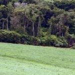 Le soja est partout et favorise la déforestation