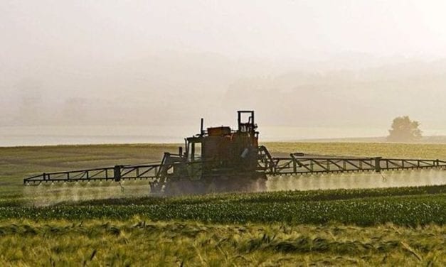 Pesticide chlorpyrifos, stop à ce perturbateur endocrinien !