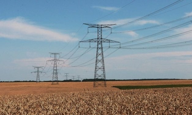 De nouvelles connaissances sur l’effet des ondes électromagnétiques