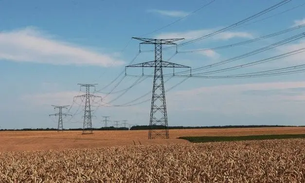De nouvelles connaissances sur l’effet des ondes électromagnétiques