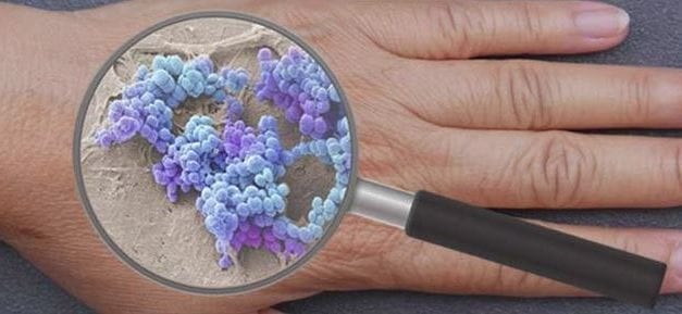 Le microbiome cutané