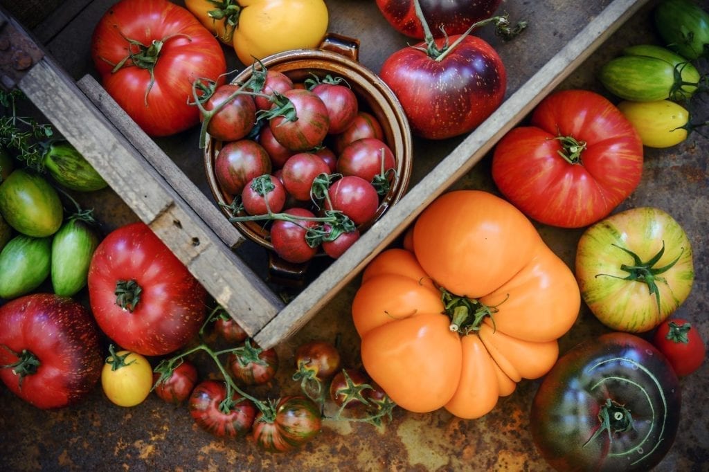 Serres chauffées en bio, Non, la tomate n’est pas un légume de printemps ! Il suffit de regarder le calendrier de saisonnalité publié par l’Agence Bio pour le comprendre, la tomate est bien un produit d’été. Et pourtant...