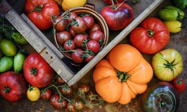 Non, la tomate n’est pas un légume de printemps!