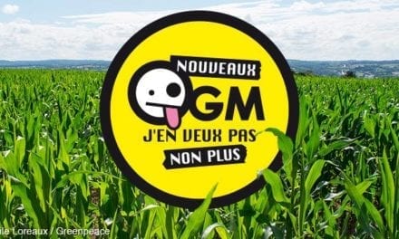 Un an après l’arrêt européen sur les nouveaux OGM, où en est-on ?