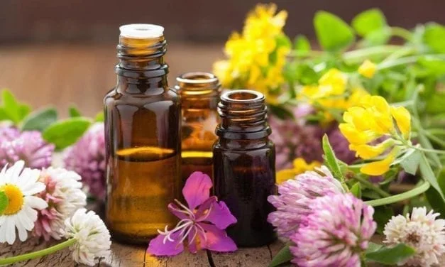 La Slow Cosmétique, vraie tendance ou effet de mode ?