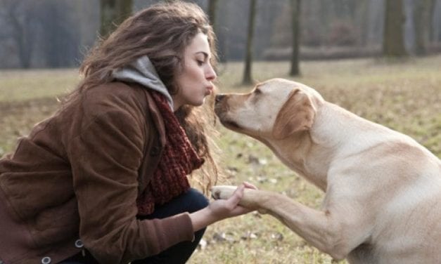 Le meilleur ami de votre cœur est le chien