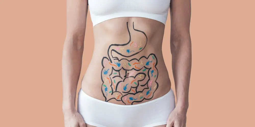 Le microbiote intestinal, un allié santé pour toute la vie
