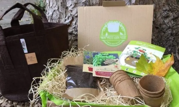 2 box de jardinage à gagner