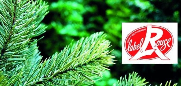 Sapin Label Rouge ou sapin bio?