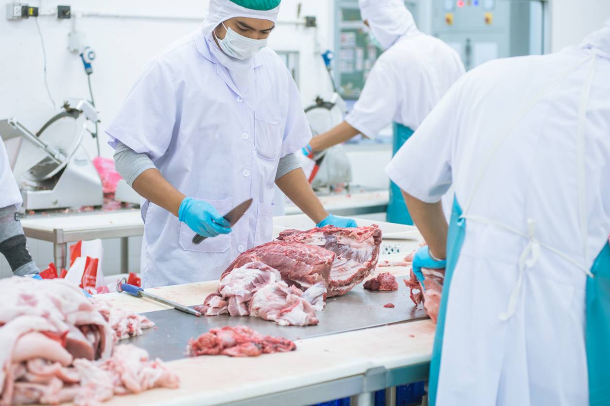 les-divers-traitements-de-la-viande-separee-mecaniquement-et-les-mesures-dhygiene-obligatoires