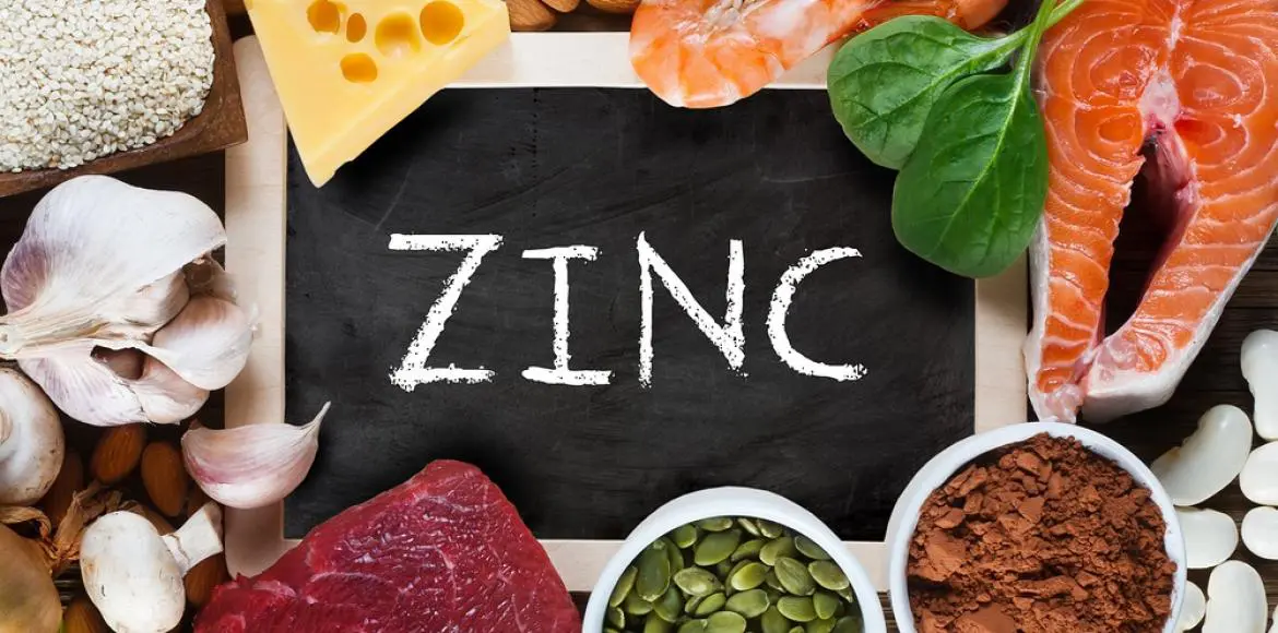 Le zinc, un puissant anti-âge