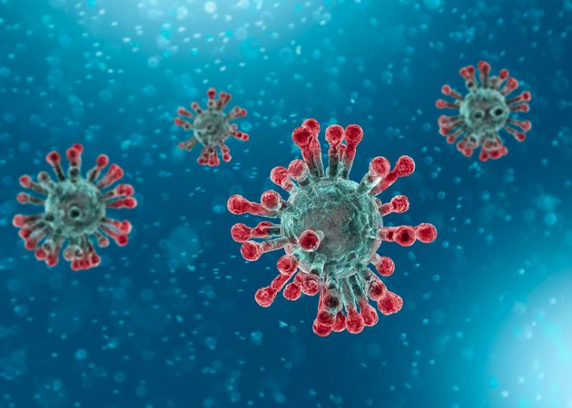 Le génome du coronavirus a été découvert
