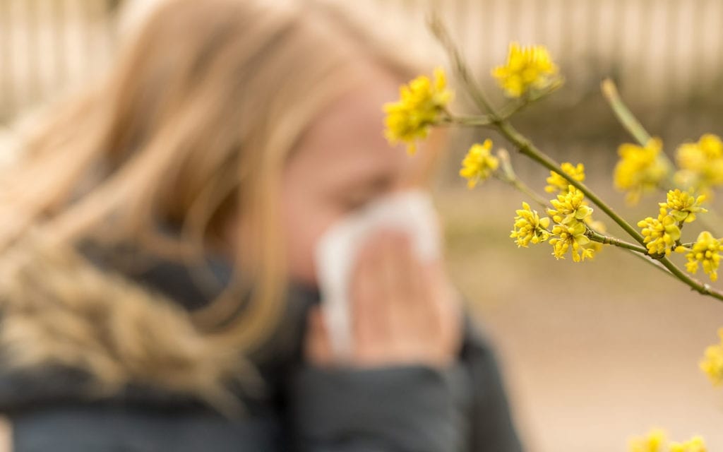alerte-aux-pollens-et-moisissures