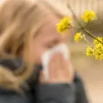 Alerte aux pollens et moisissures