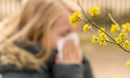 Alerte aux pollens et moisissures